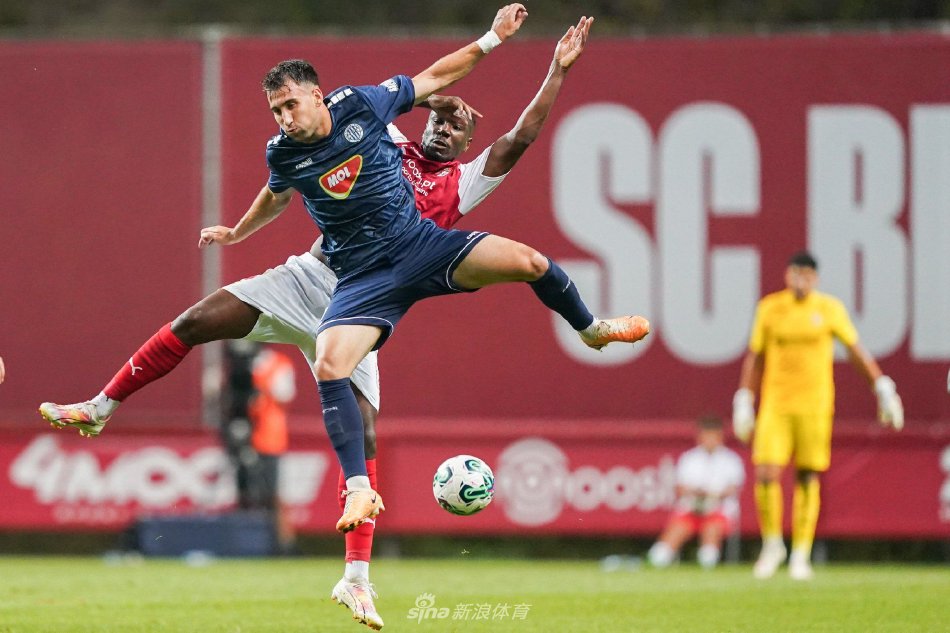 术的多样性 术的多样性